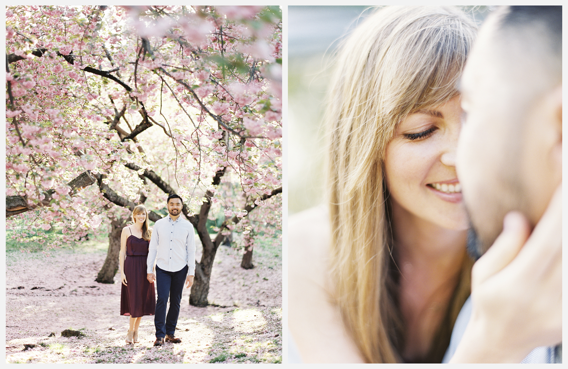 Central Park cherry tree blossom engagement photos by wedding photographer Alicia Swedenborg